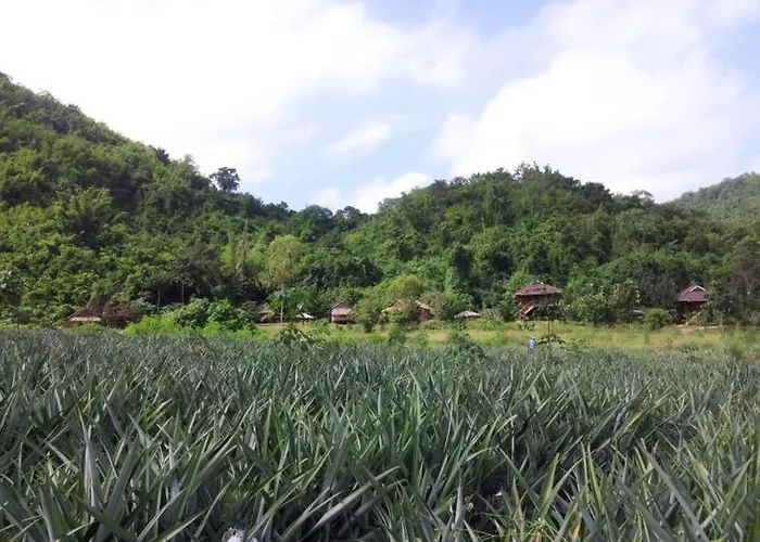 รีสอร์ท Lom Rak สวนผึ้ง